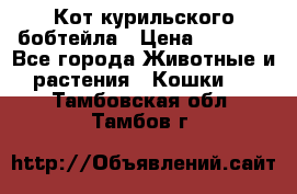 Кот курильского бобтейла › Цена ­ 5 000 - Все города Животные и растения » Кошки   . Тамбовская обл.,Тамбов г.